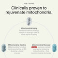 Timeline Urolithin A Supplement – Mitopure Softgels for Healthy Aging