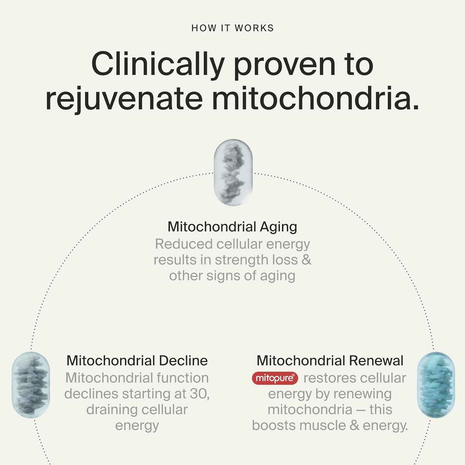 Timeline Urolithin A Supplement – Mitopure Softgels for Healthy Aging