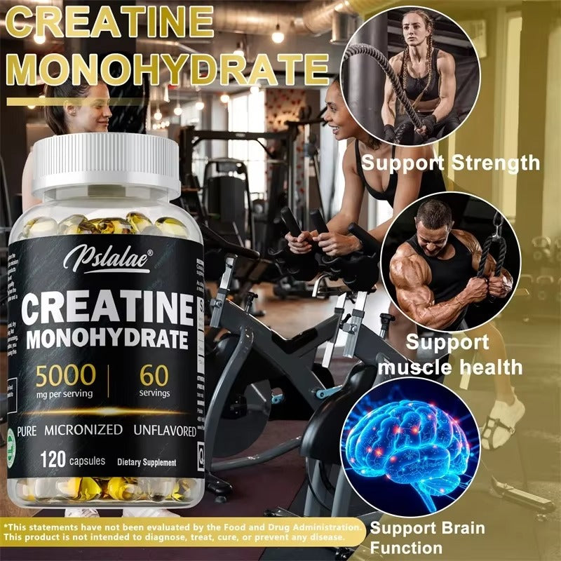 5000mg creatine supplement 60 servings