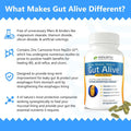 Gut Alive – Natural Gut Lining & Digestive Health Support, 60ct - WONEXA