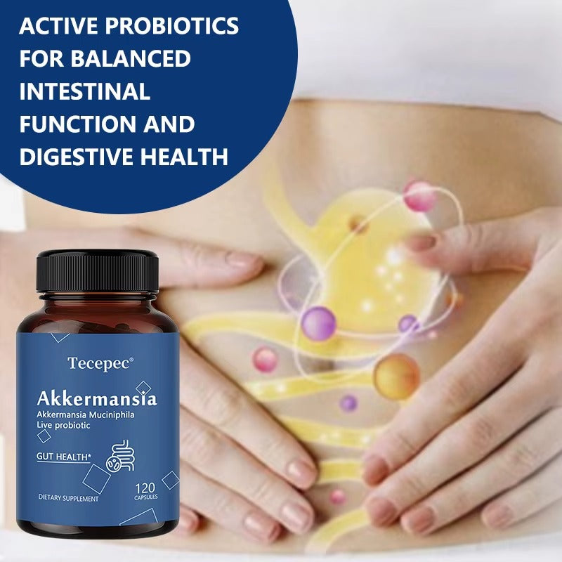 Akkermansia supplement capsules for digestive health