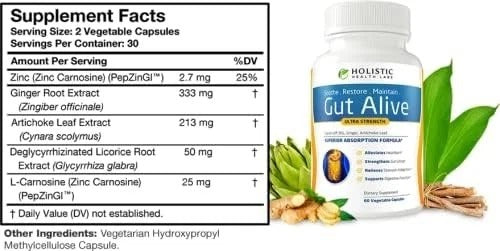 Holistic Health Labs Gut Alive digestive support supplement