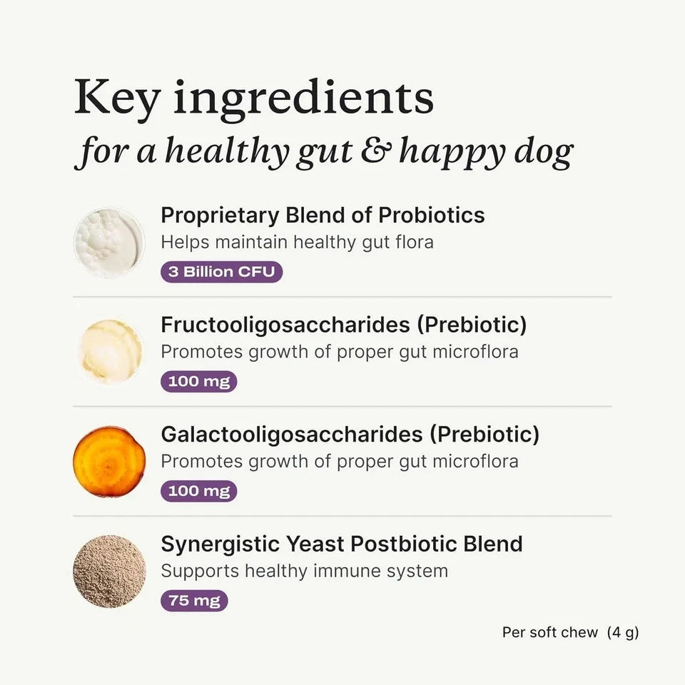 PetLab Co. Probiotic Soft Chews for Dogs 30 Count Digestive and Gut Health Supplement with Tasty Chicken Flavor
