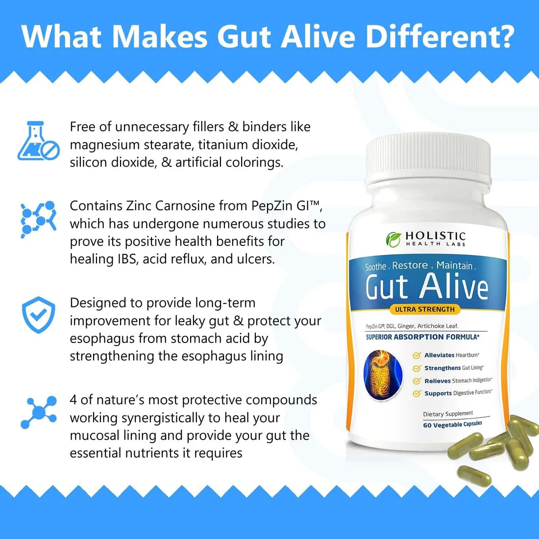 Gut Alive Gut Health Supplement Capsules - Natural Gut Lining Support for Digestion, Bloating Relief & Intestinal Wellness, 60 Count (Exp 08/2027)